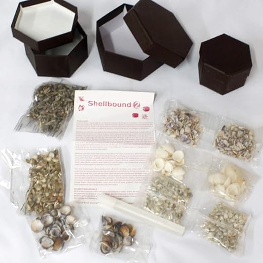 Shellbound-2 (Multicolor)